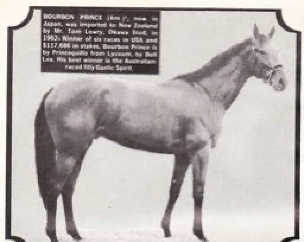 stallion Bourbon Prince xx (Thoroughbred, 1957, from Princequillo xx)