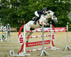 jumper Wild One 2 (Oldenburg show jumper, 2008, from Calvados)