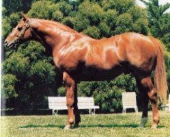 stallion Star Shower xx (Thoroughbred, 1976, from Star of Heaven xx)