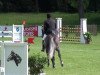 jumper Balou 718 (Oldenburg, 2007, from Balou du Rouet)