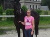 dressage horse Spring Fever (Rhinelander, 2006, from Show Star)