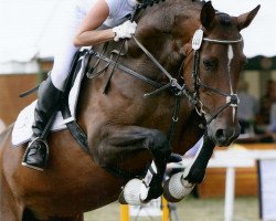 jumper Fioness 2 (Hanoverian, 2003, from Fabriano)