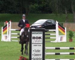 jumper Amy 249 (German Sport Horse, 2008)