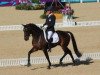 dressage horse Alphaville (KWPN (Royal Dutch Sporthorse), 2005, from Sandreo)