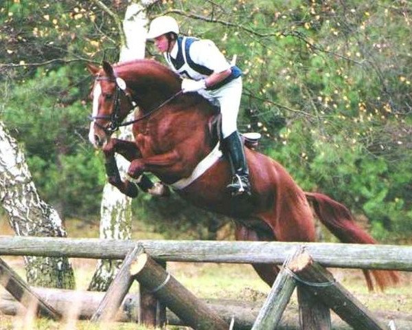 stallion Pour Plaisir 2 (Bavarian, 1996, from Partout)