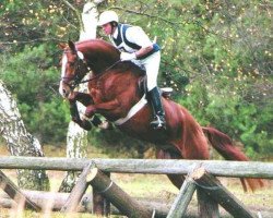 stallion Pour Plaisir 2 (Bavarian, 1996, from Partout)