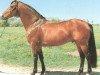 stallion Lehar (Holsteiner, 1979, from Ladykiller xx)