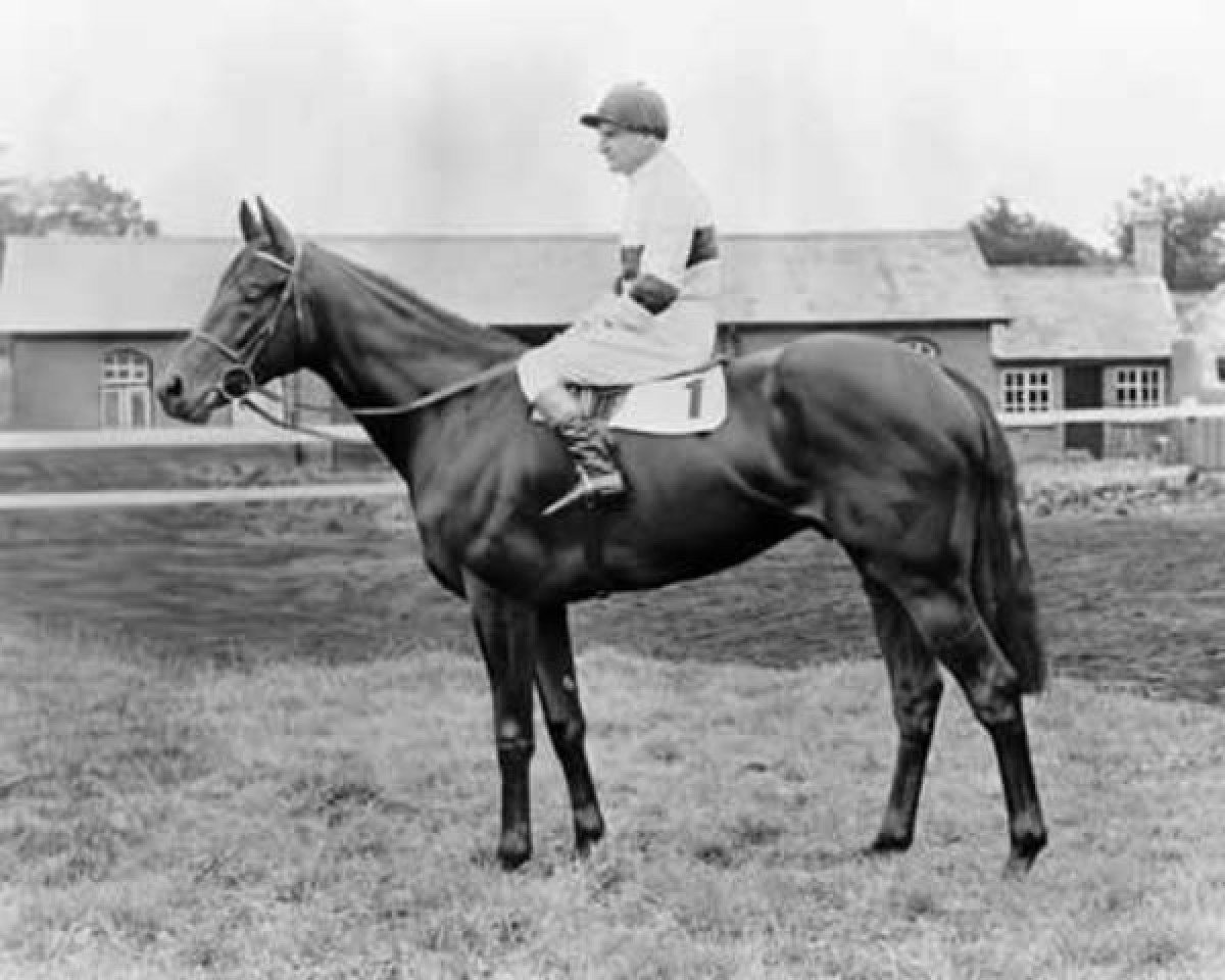 stallion Hethersett xx (Thoroughbred, 1959, from Hugh Lupus xx)