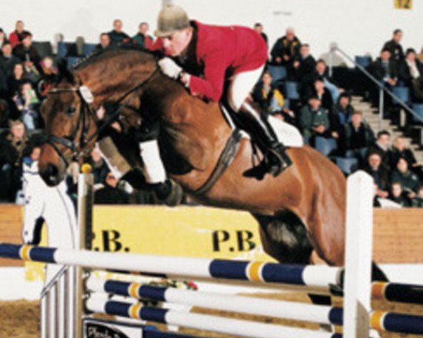 horse Prestige Pilot (Hanoverian, 1990, from Pilot)