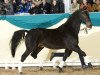 stallion Rathenow (Hanoverian, 1988, from Raphael)