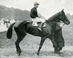 broodmare Carissima xx (Thoroughbred, 1923, from Clarissimus xx)