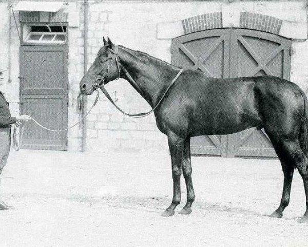 stallion Pharis II xx (Thoroughbred, 1936, from Pharos xx)
