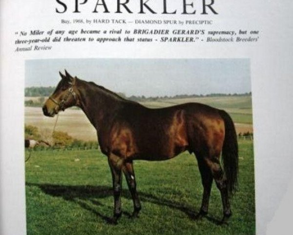 Deckhengst Sparkler xx (Englisches Vollblut, 1968, von Hard Tack xx)