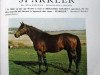 stallion Sparkler xx (Thoroughbred, 1968, from Hard Tack xx)