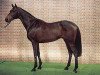 stallion Feenspross xx (Thoroughbred, 1984, from Aspros xx)