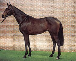 stallion Feenspross xx (Thoroughbred, 1984, from Aspros xx)