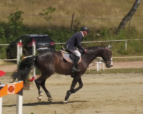 Reitturnier Heiligenwald 2022