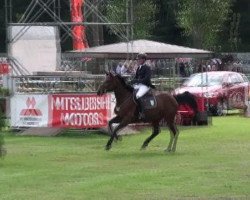 broodmare Celine 218 (German Sport Horse, 2004, from Con Capitol)