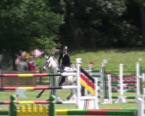 jumper Ladykracher (German Sport Horse, 2004, from Livello)