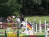 jumper Ladykracher 22 (German Sport Horse, 2004, from Livello)