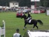 jumper Ronja (German Sport Horse, 2003, from Revaldo)