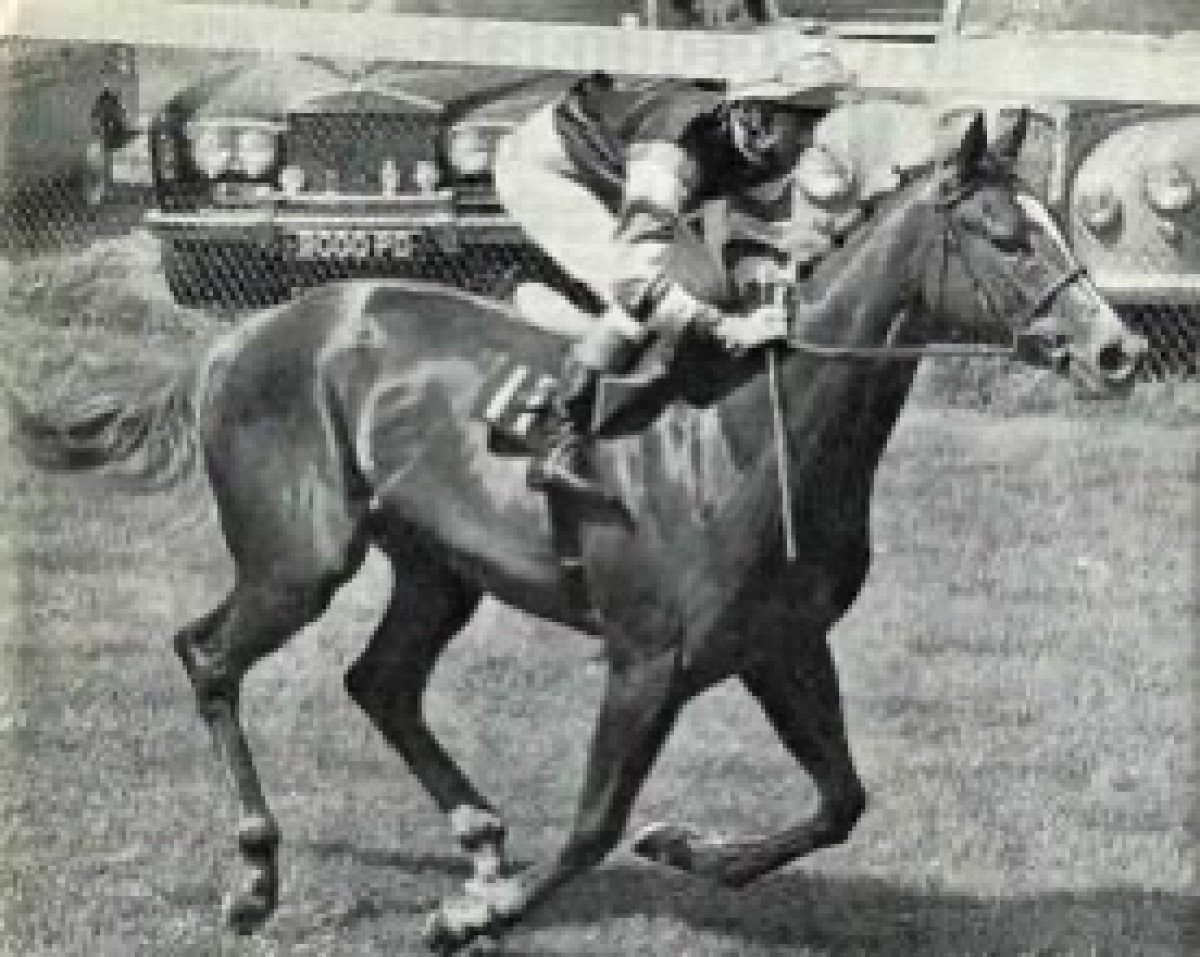 broodmare Cawston's Pride xx (Thoroughbred, 1968, from Con Brio II xx)