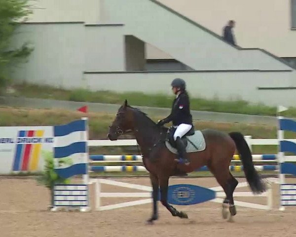 Reitturnier Kreuth/Opf. 2022