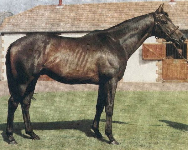 stallion Valiyar xx (Thoroughbred, 1979, from Red God xx)