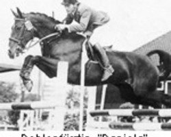 broodmare Dohlenfürstin (Hanoverian, 1960, from Domspatz)