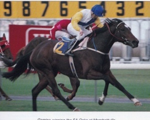 broodmare Gamine xx (Thoroughbred, 1986, from Keen xx)