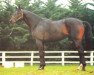 stallion Bold Flip xx (Thoroughbred, 1968, from Bold Ruler xx)