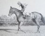 broodmare Cicada xx (Thoroughbred, 1959, from Bryan G. xx)