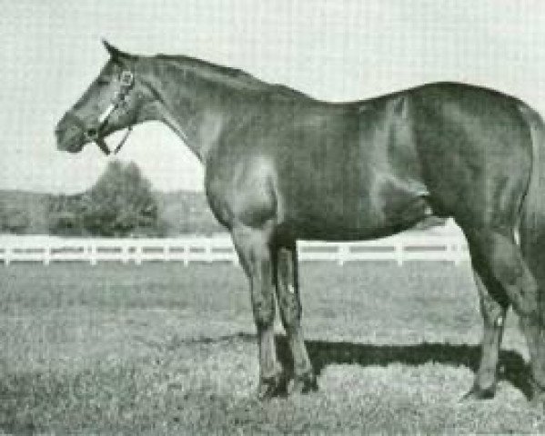 stallion Bryan G. xx (Thoroughbred,  , from Blenheim II xx)