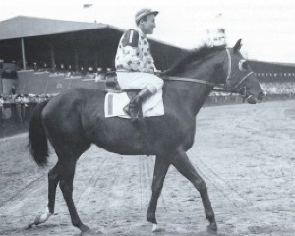 stallion Bossuet xx (Thoroughbred, 1940, from Boswell xx)