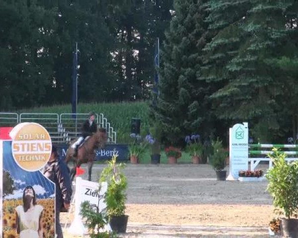 horse Winzerin (Hanoverian, 1996, from Werther)