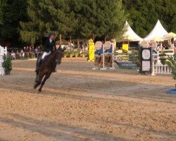 Springpferd Leonid (Westfale, 2006, von Lux Z)