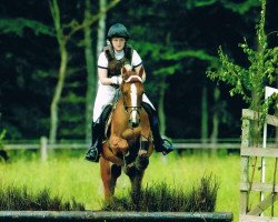 dressage horse Brinckhoff's Sunbeam (Nederlands Welsh Ridepony, 2003, from Leandros Sirik)