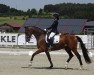 dressage horse Daquiro (Württemberger, 2006, from Daramis)