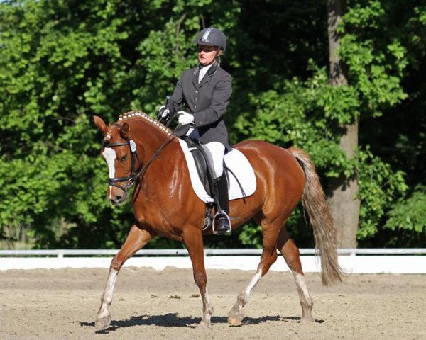 broodmare Urienne Donna Deluxe (German Riding Pony, 2008, from Don Joshi II)