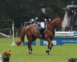 dressage horse Gentleman 213 (Mecklenburg, 2002, from Gloriosus)