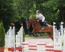 jumper Lissina (Oldenburg show jumper, 2015, from Lissino)