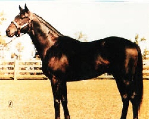 stallion Tai xx (Thoroughbred, 1976, from Buckpasser xx)