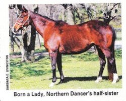 broodmare Born A Lady xx (Thoroughbred, 1981, from Tentam xx)