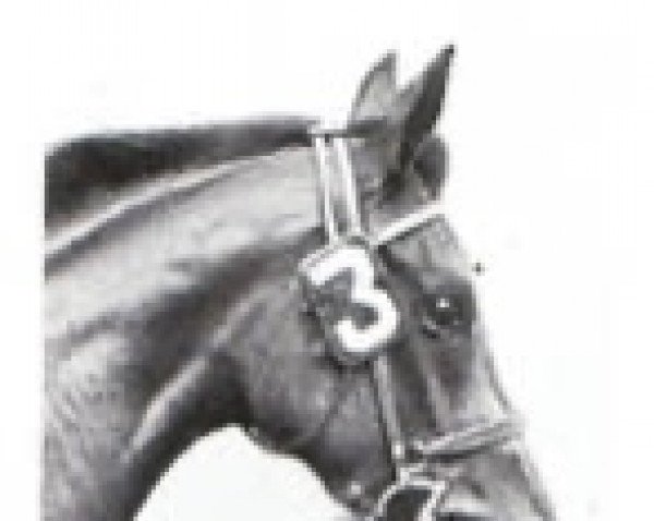 broodmare Arctic Dancer xx (Thoroughbred, 1963, from Nearctic xx)