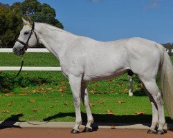 stallion Bradbury's Luck xx (Thoroughbred, 2002, from Redoute's Choice xx)