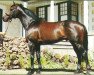 stallion At Talaq xx (Thoroughbred, 1981, from Roberto xx)