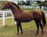 stallion Approval xx (Thoroughbred, 1967, from Alcide xx)