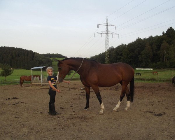 broodmare Leena DS (Oldenburg, 2004, from Consulting)