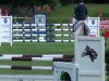 jumper Annabell 451 (Oldenburg show jumper, 2006, from Acadius)