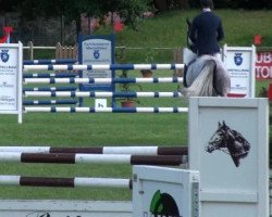 jumper Annabell 451 (Oldenburg show jumper, 2006, from Acadius)